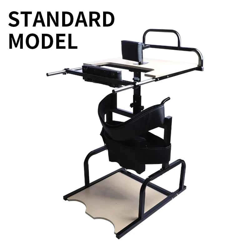 Lower Limb Rehabilitation Standing Bed Stroke