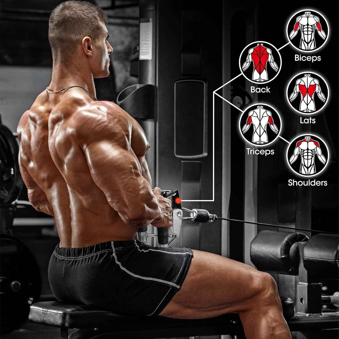 Cable Machine Attachment, Double D Handle &amp; Tricep Rope Cable Attachment, Weight Machine Accessories Load 880 LB for Home Gym