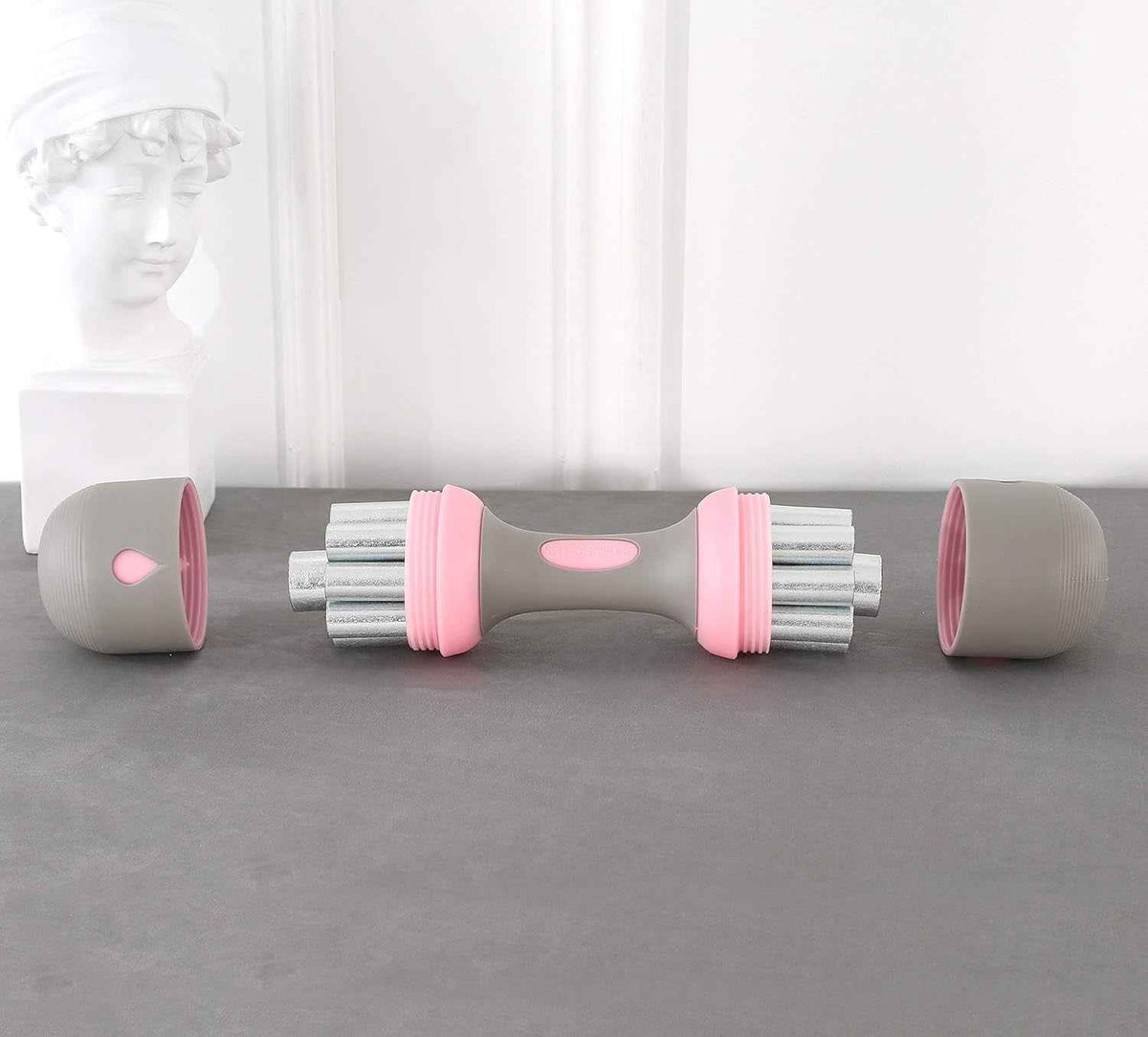 Dumbbell Set, Weight Adjustable, No-Screw Needed, Fitness Home Exercise